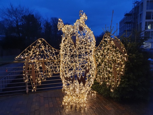 Uil Archibald_Stadsmarketing_Bocholt Uil Archibald_Stadsmarketing_Bocholt