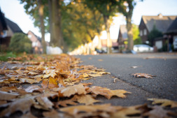 Bladeren op een straat in Bocholt ESB begint dit jaar eerder met de uitgifte van bladzakken