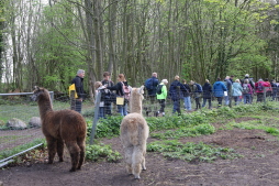 19 april 2026: Bocholt gaat wandelen (57)