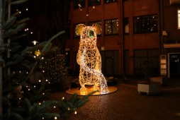 Kerstverlichting Bocholt Kerstverlichting Koala Bocholt centrum