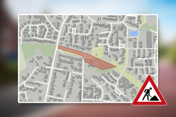 Afzonderlijke dode bomen worden zaterdag geveld Afzonderlijke dode bomen worden zaterdag geveld