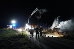 DSC01078.JPG Boomklem in actie