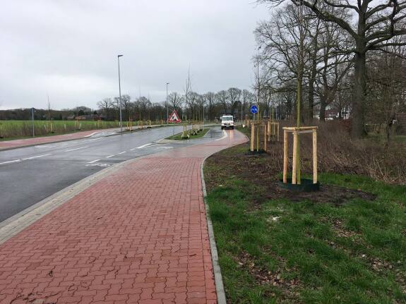 85 bomen geplant in het nieuwe centrum in Stenern