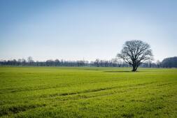 Bocholt is op zoek naar duurzame projecten Bocholt is op zoek naar duurzame projecten