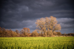Natuurlandschap aan de Bocholter Aa Deadline voor duurzaamheidsprijs eindigt in februari