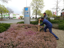  Das neue Insektenhotel verschönert den Bereich vor dem Unternehmen Pieron 