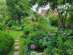  De tuin van Susanne Paus en Peter Zweil nodigt je uit om foto's te maken 