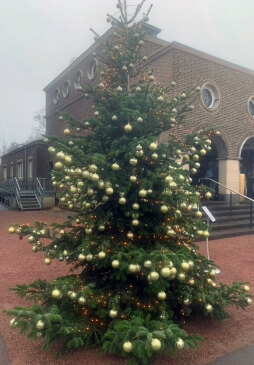  De kerstboom op de begraafplaats. Er zijn 600 kerstballen met kleine boodschappen aan de overledenen opgehangen. De kerstballen kunnen tot 15 januari weer worden weggehaald. 