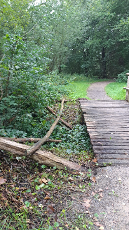  Kapotte plek van een houten brug in het gemeentebos van Bocholt. 