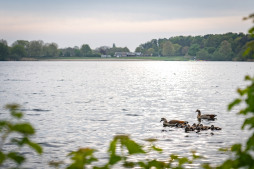  Online inspraak bij de ontwikkeling van het Aasee meer in Bocholt begint maandag  