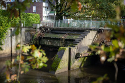 Aa niveau reductie Het niveau van de rivier de Aa is nu verlaagd als onderdeel van de renovatie van het stadhuis.