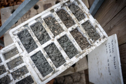 Monsters van verschillende diepten onder de Berliner Platz vertellen geologen veel over de geschiedenis van de locatie Monsters van verschillende diepten onder de Berliner Platz vertellen geologen veel over de geschiedenis van de locatie