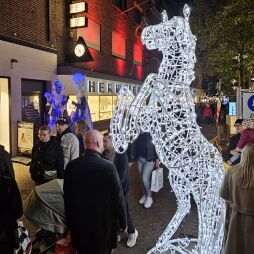 2024-11-20_Bocholt_licht_op_springen_paard_foto_stad_marketing