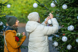 De kerstbomen voor de voormalige rouwzaal worden versierd met persoonlijke kerstballen De kerstbomen voor de voormalige rouwzaal worden versierd met persoonlijke kerstballen