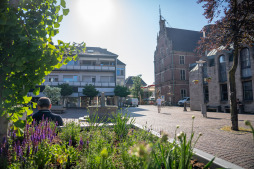 Die neuen Pflanzkübel bringen mehr Grün in die Innenstadt