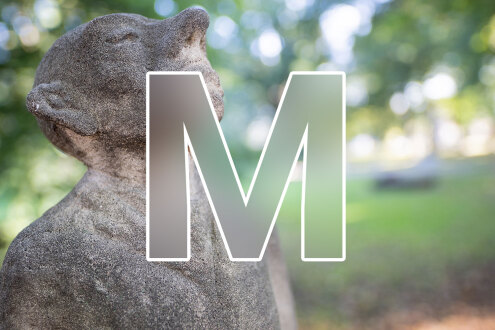 M M