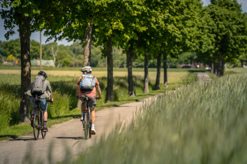 hoge marc fietsroute fietstocht stratmann-04959