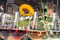 26-07-2024_Wijnfeest (1)