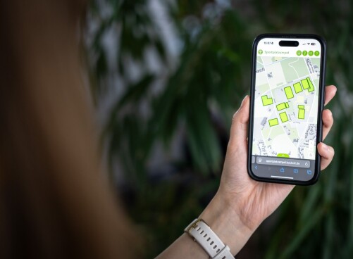 Hand hält Handy, auf dem Sportplatz-Informationen angezeigt werden