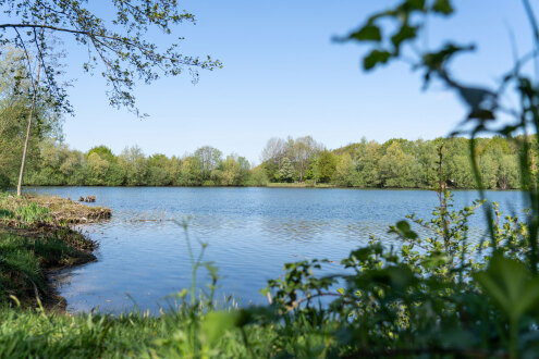 Bürgerpark Mosse