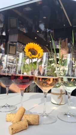 2024-07-26_Weinfest (1)
