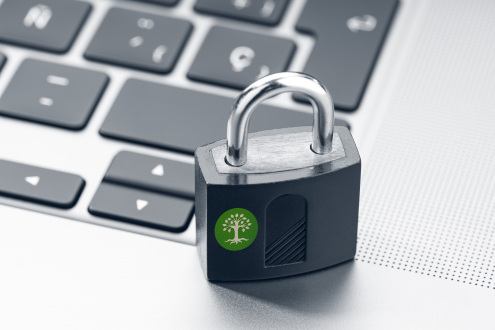 buche auf schloss Envato Datenschutz buche auf schloss Envato Datenschutz
